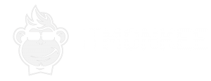 I.T. Monkee